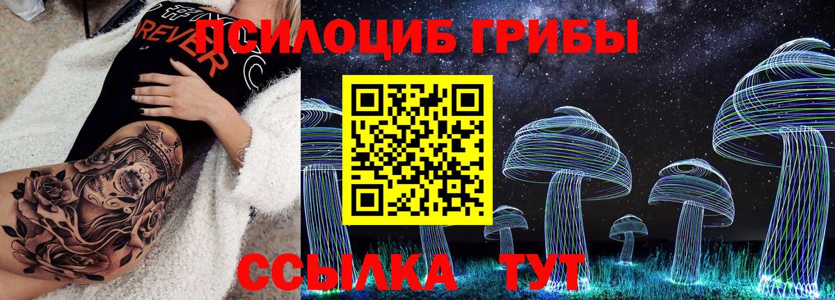 Сафоново  Псилоцибиновые грибы мицелий  Вход с VPN 
