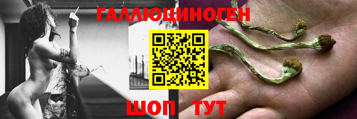 Псилоцибиновые грибы MAGIC MUSHROOMS Сафоново